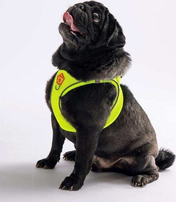 Pawstar Neon Sarı Air-mesh Göğüs Tasması Kedi Köpek Göğüs Tasması 2XS - Image 1