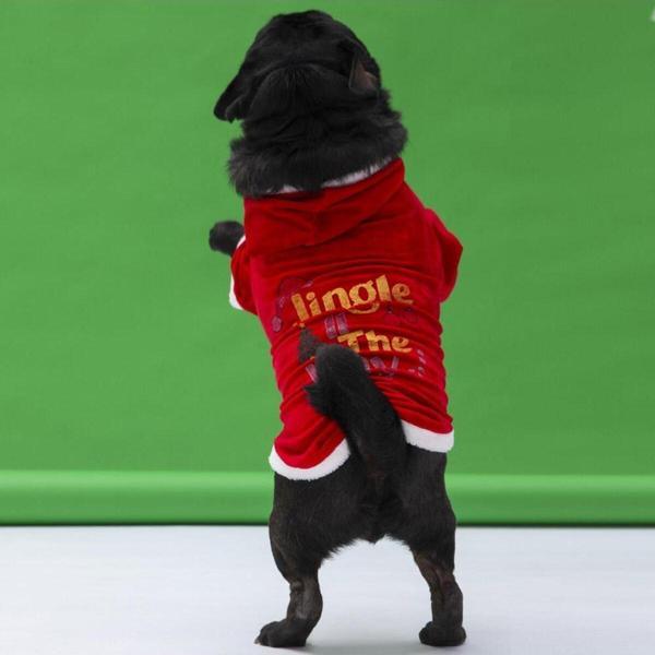 Pawstar New Year Slogan Küçük ve Orta Irk Köpek Kapşonlu Sweati Köpek Kıyafeti - XL - Image 1