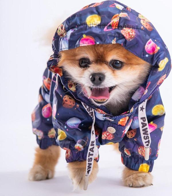 Pawstar Planetfood Polarlı Köpek Tulum Yağmurluğu Köpek Yağmurluk Köpek Kıyafeti Köpek Elbisesi - M - Image 1