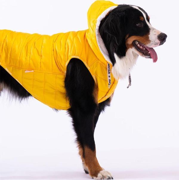 Pawstar Sarı Railway Orta ve Büyük Irklar İçin Anorak Yelek Köpek Yeleği Köpek Kıyafeti Köpek Yağmurluk - 3XL - Image 1