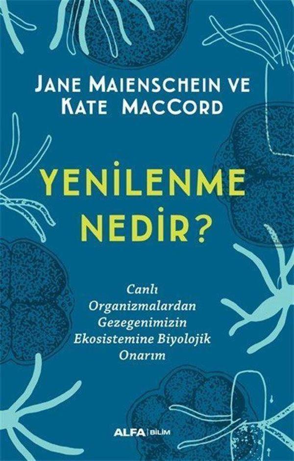 Yenilenme Nedir? - Alfa Yayıncılık - Image 1