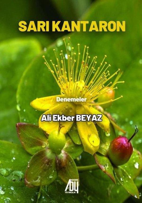 Sarı Kantaron - Denemeler - Baygenç Yayıncılık - Image 1