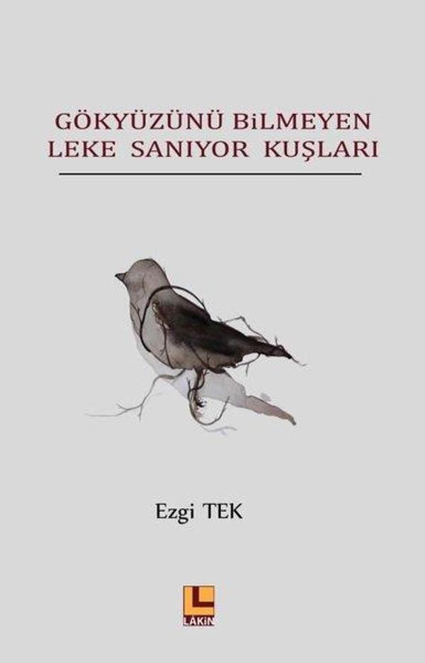Gökyüzünü Bilmeyen Leke Sanıyor Kuşları - Lakin Yayınevi - Image 1