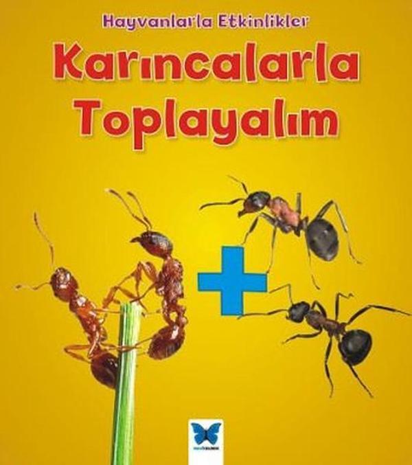 Karıncalarla Toplayalım-Hayvanlarla Etkinlikler - Mavi Kelebek - Image 1