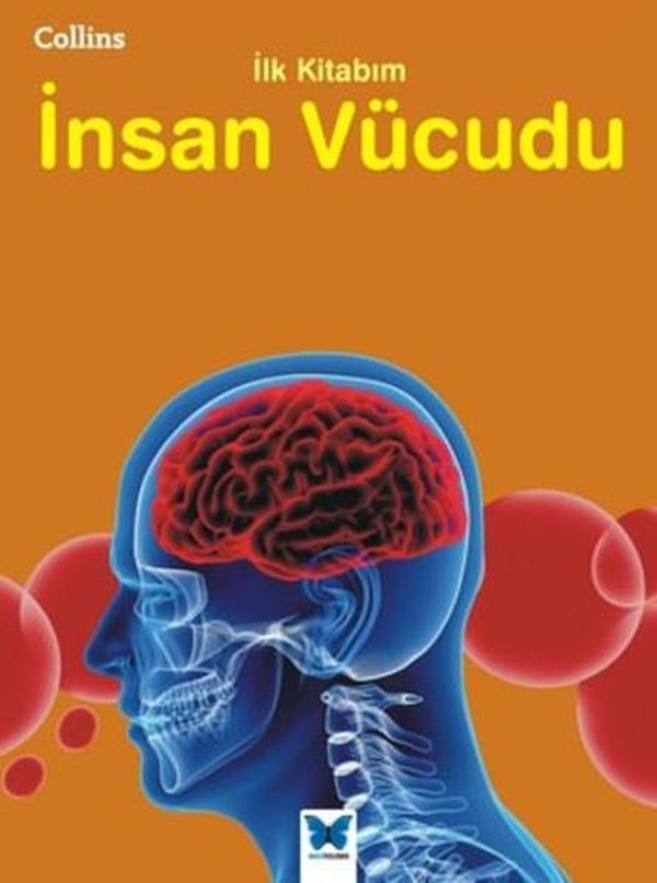 Collins İlk Kitabım-İnsan Vücudu - Mavi Kelebek - Image 1