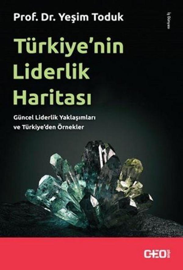 Türkiyenin Liderlik Haritası - CEO Plus - Image 1