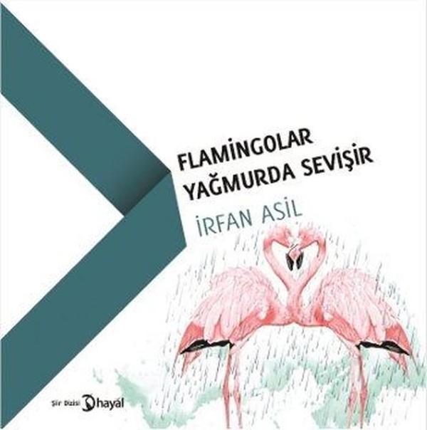 Flamingolar Yağmurda Sevişir - Hayal - Image 1