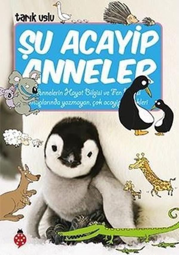 Şu Acayip Anneler - Uğurböceği - Image 1