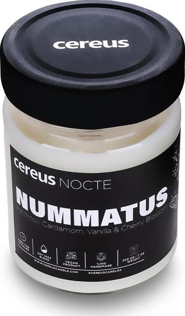 Cereus Nocte Nummatus Paçuli & Vanilya Kokulu Soya Mum (210 Gr) - Image 1