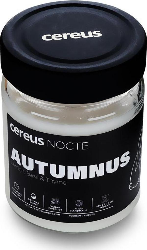 Cereus Nocte Autumnus Lime & Fesleğen Kokulu Soya Mum (210 Gr) - Image 1