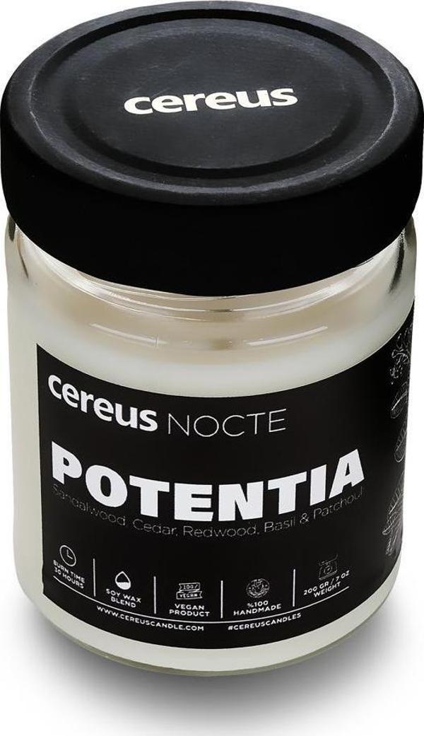 Cereus Nocte Potentia Sandal Ağacı Kokulu Soya Mum (210 Gr) - Image 1