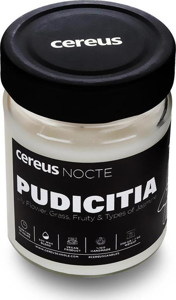 Cereus Nocte Pudicitia Zambak Kokulu Soya Mum (210 Gr) - Image 1