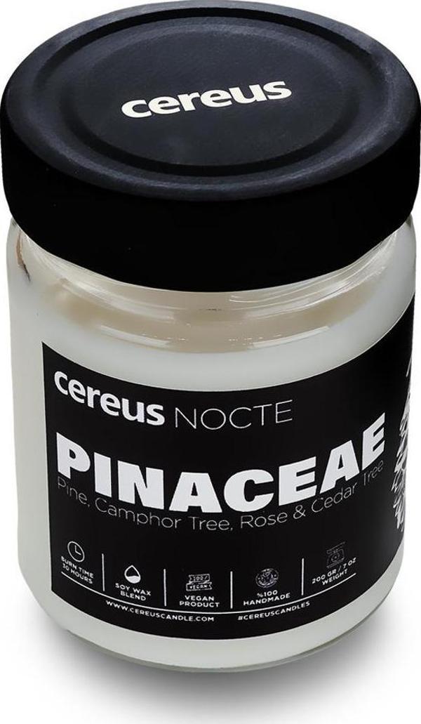 Cereus Nocte Pinaceae Çam Kokulu Soya Mum (210 Gr) - Image 1