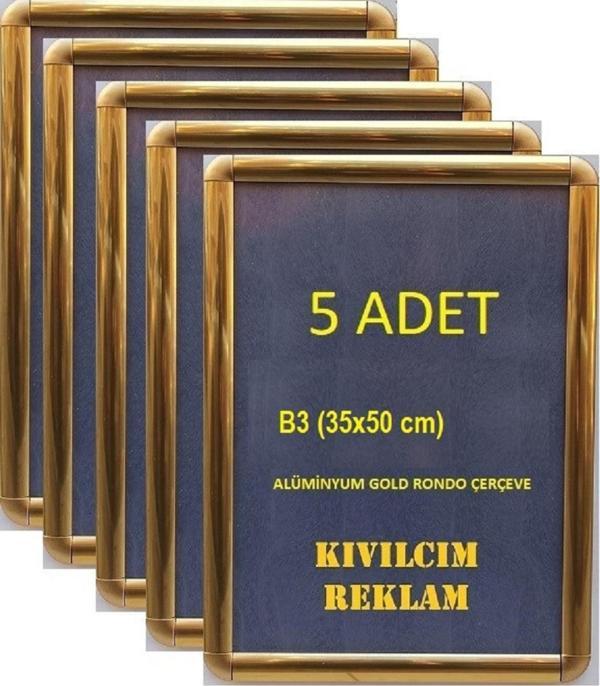 Kıvılcım 5 Adet B3 35 x 50 cm Gold Alüminyum Rondo Çerçeve - Image 1