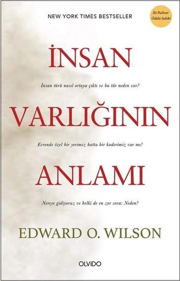 İnsan Varlığının Anlamı - Olvido - Image 1