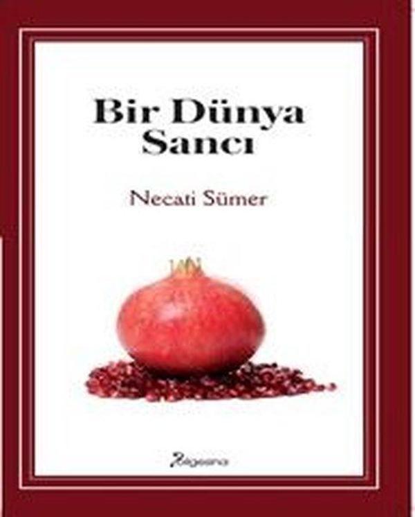 Bir Dünya Sancı - Bilgesina Yayınları - Image 1