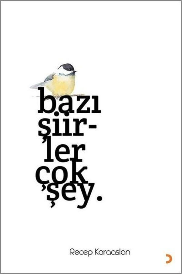Bazı Şiirler Çok Şey - Cinius Yayınevi - Image 1