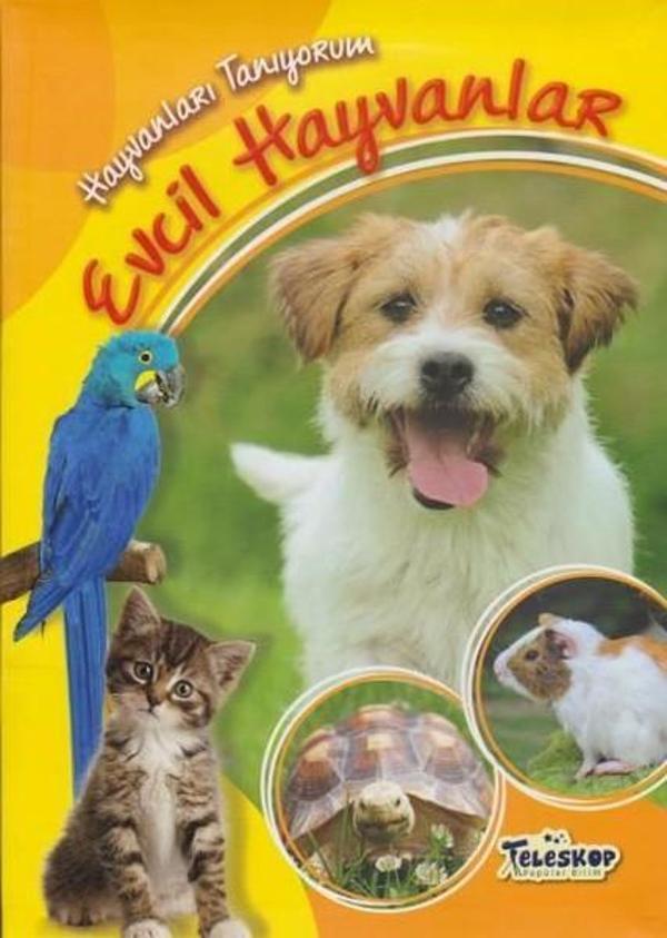 Hayvanları Tanıyorum-Evcil Hayvanlar - Teleskop Popüler Bilim - Image 1