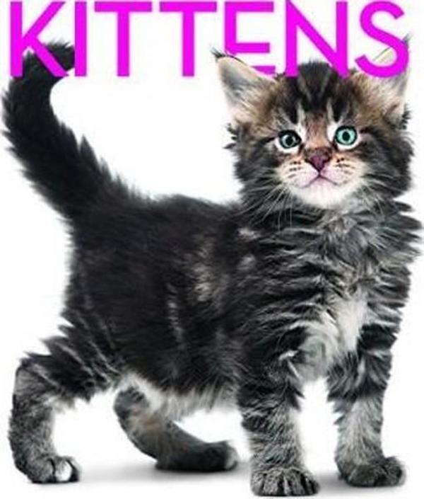 Kittens Cubebook: Cube Book (Cube Books) - White Star - Image 1