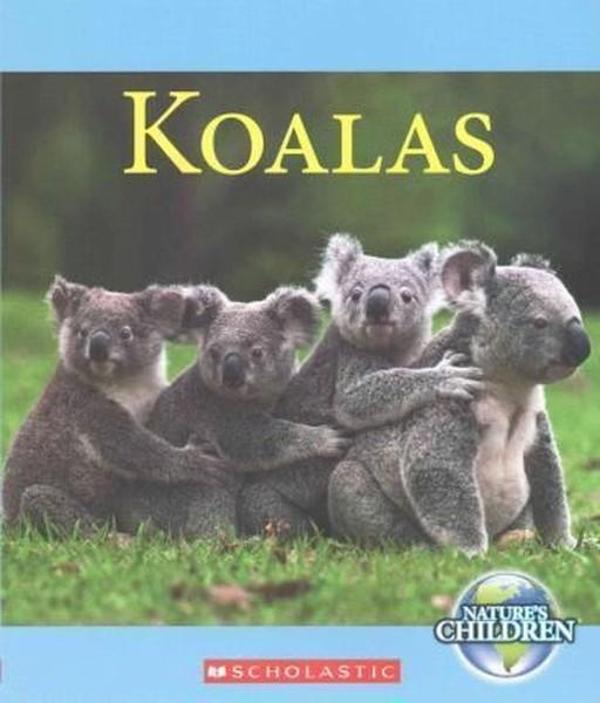 Koalas (Nature's Children) - Scholastic - Image 1