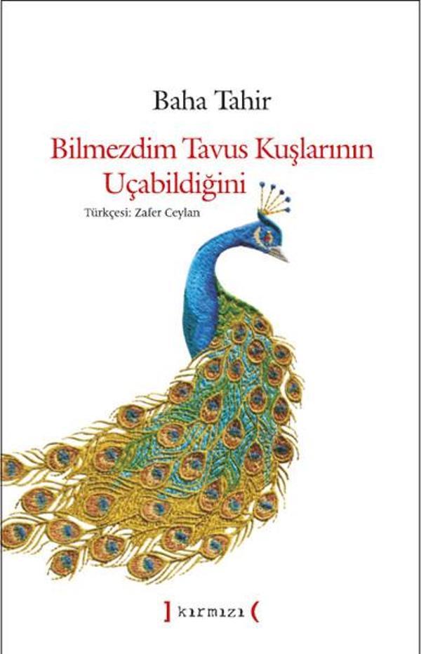 Bilmezdim Tavus Kuşlarının Uçabildiğini - Kırmızı Yayınları - Image 1