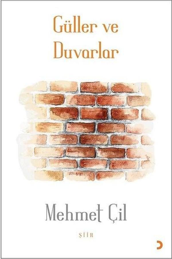Güller ve Duvarlar - Cinius Yayınevi - Image 1