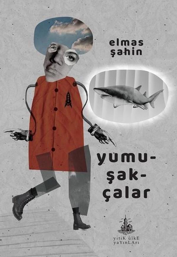 Yumuşakçalar - Yitik Ülke Yayınları - Image 1