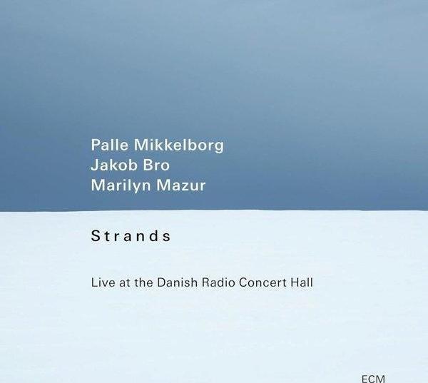 Aybino Strands Plak - Image 1