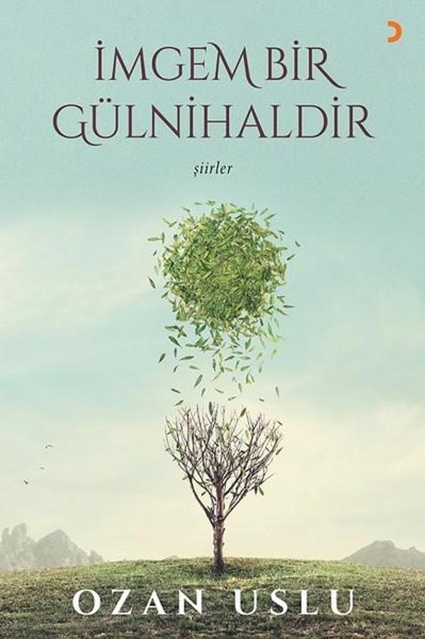 İmgem Bir Gülnihaldir - Cinius Yayınevi - Image 1