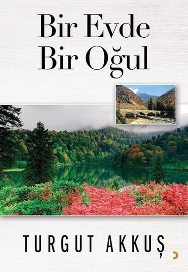 Bir Evde Bir Oğul - Cinius Yayınevi - Image 1
