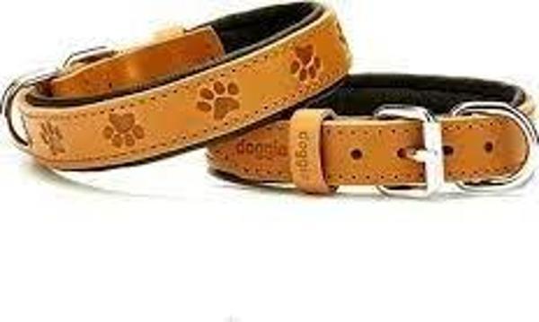 DOGGİE KONFOR DERİ PATİ DESENLİ BOYUN TASMASI KAMEL 3X42-50CM - Image 1
