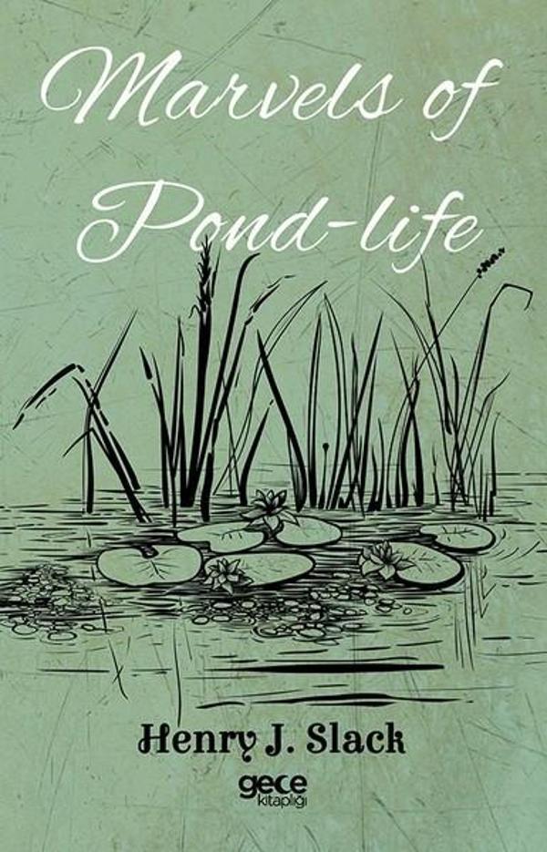 Marvels of Pond-Life - Gece Kitaplığı - Image 1