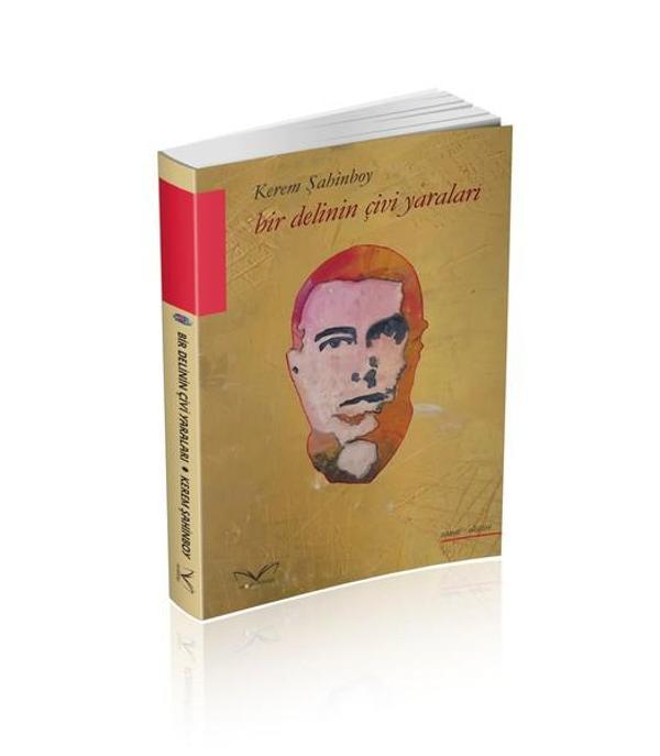 Bir Delinin Çivi Yaraları - MedaKitap - Image 1