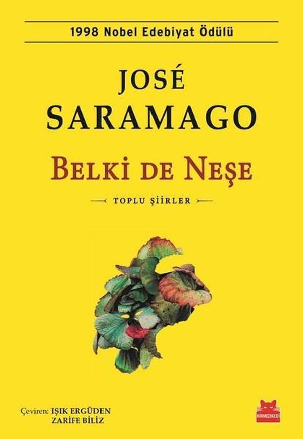 Belki de Neşe - Kırmızı Kedi Yayınevi - Image 1