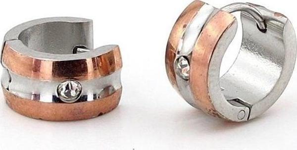 Zirkon Taşlı Bronz Gümüş Renk Paslanmaz Çelik Kadın Erkek Halka Küpe ER052 - Image 1