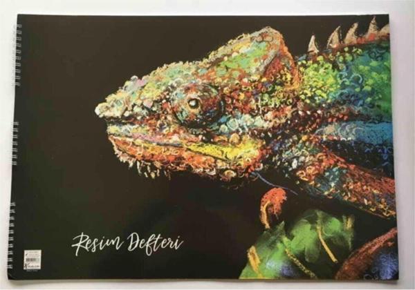 KESKİN COLOR 15 Yaprak 35x50 Spiralli Resim Defteri - Image 1