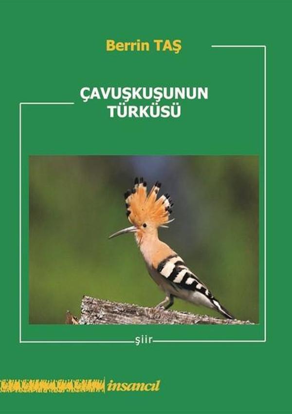 Çavuşkuşunun Türküsü - İnsancıl Yayınları - Image 1