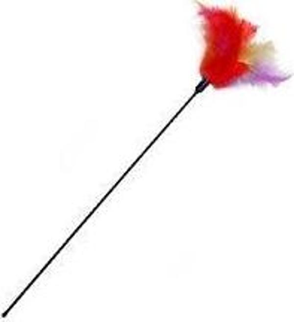 KARLIE KEDİ OLTASI 45 CM - Image 1