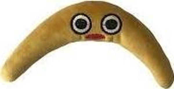 MATATABI BANAMOO MATATABILI KEDI OYUNCAGI - Image 1