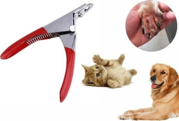 Kedi Köpek Giyotin Tırnak Makası - Image 1