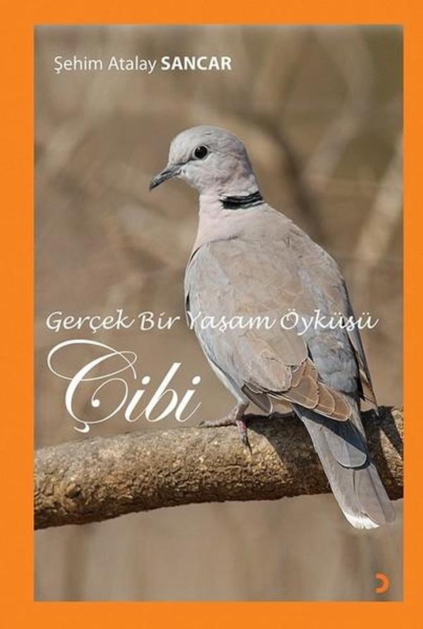 Gerçek Bir Yaşam Öyküsü Çibi - Cinius Yayınevi - Image 1