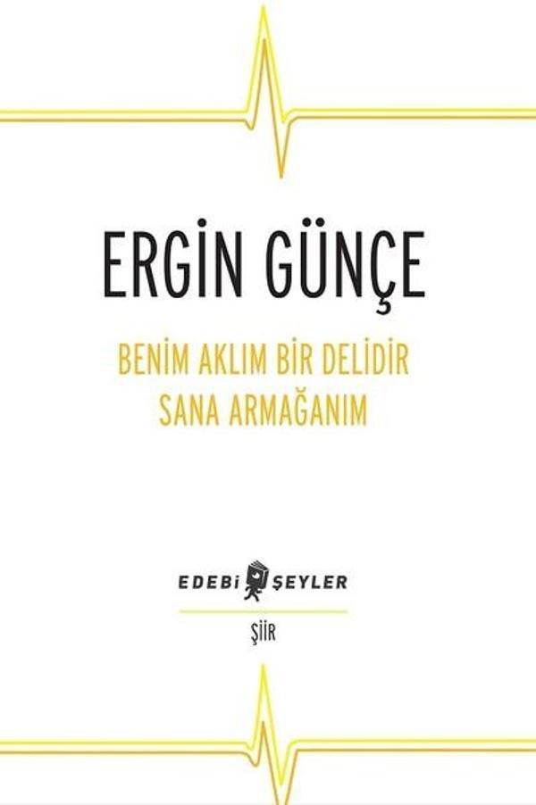 Benim Aklım Bir Delidir Sana Armağanım - Edebi Şeyler - Image 1