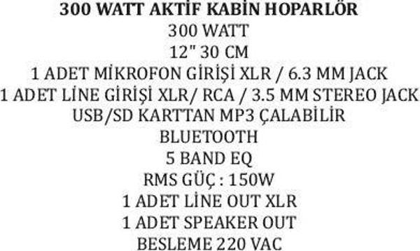 30 CM 300 WATT 12 AKTİF KABİN HOPARLÖR  - Image 1