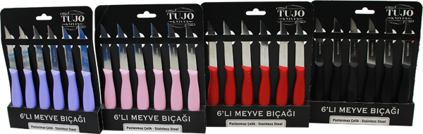 6 ADET  MEYVE BIÇAK RENKLİ PLASTİK SAPLI  - Image 1