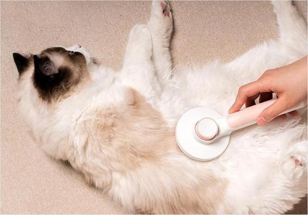 Kavis Uçlu Kedi Köpek Banyo Ve Tarama Tarağı Kendini Temizleyen Tüy Toplama Fırçası  - Image 1