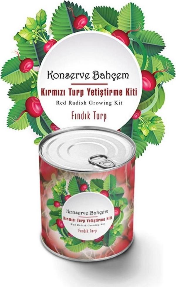 Konserve Bahçem Evde Konservede Fındık Turp Yetiştirme Kiti  - Image 1