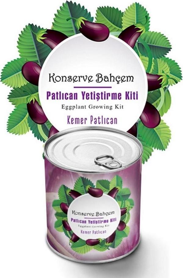 Konserve Bahçem Evde Konservede Kemer PatlıcanYetiştirme Kiti  - Image 1