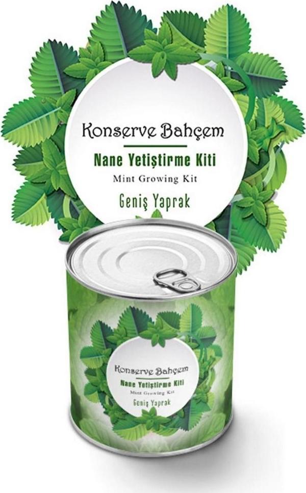 Konserve Bahçem Nane Yetiştirme Kiti  - Image 1