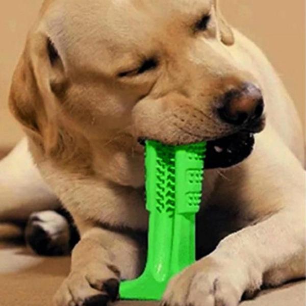 Köpek Diş Temizleyici ve Kaşıyıcı Sağlıklı Küçük Boy Oyuncak - Image 1