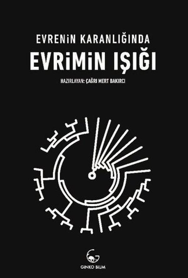 Evrenin Karanlığında Evrimin Işığı - Ginko Bilim - Image 1